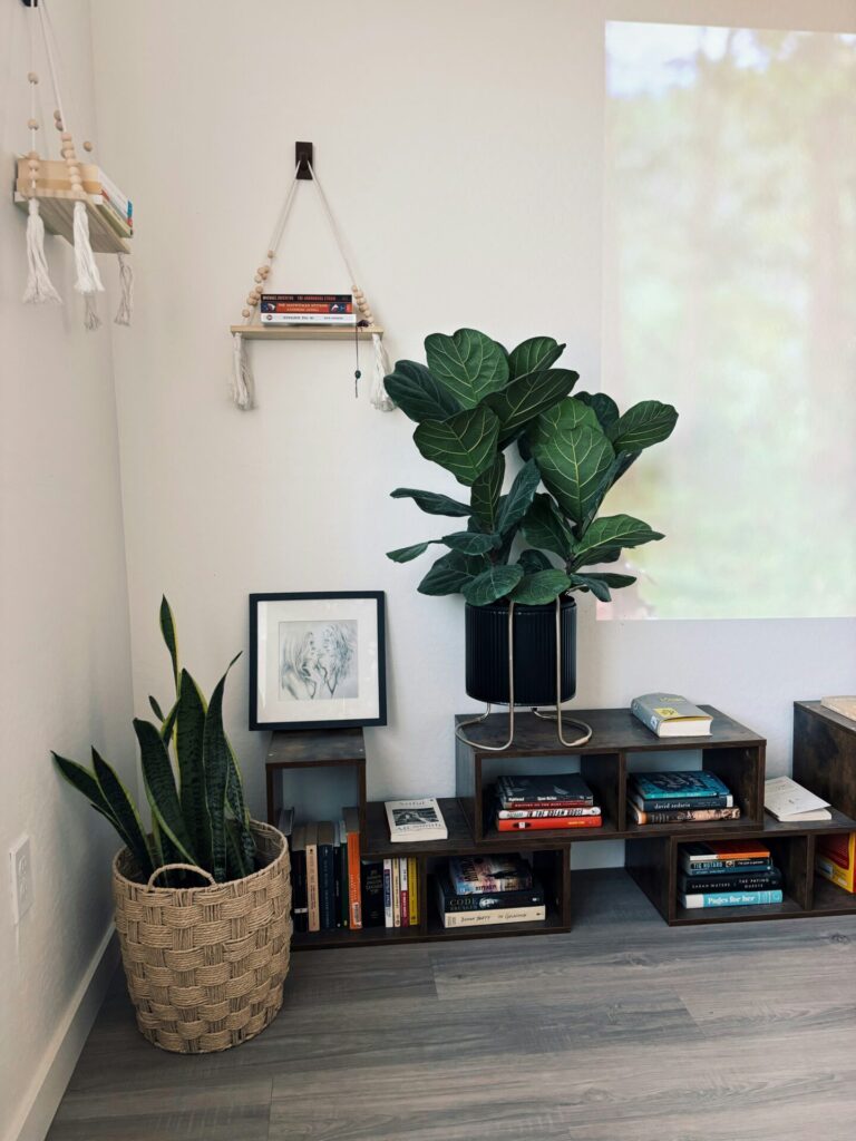 A living space with plants, bookshelves, assorted books and artwork